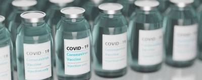 В Нижегородской области приостановлена вакцинация препаратами «КовиВак» и «ЭпиВакКорона»