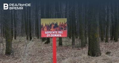 В Татарстане сохраняется штормовое предупреждение о пожарной опасности лесов