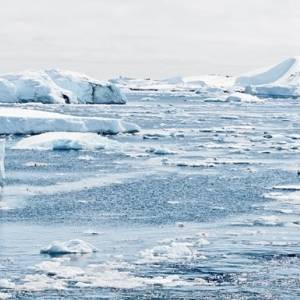 ООН: В Антарктиде фиксируется рекордная жара