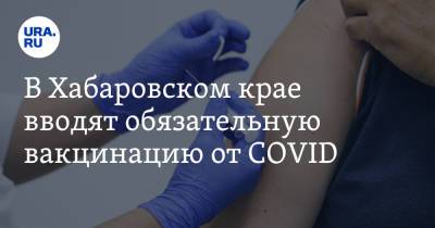 В Хабаровском крае вводят обязательную вакцинацию от COVID. Дегтярев обещал этого не делать