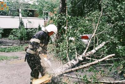 Непогода на Хмельнитчине: разбитые машины, поломанные деревья и отключение света