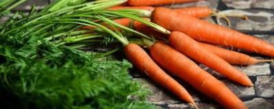 В Самарской области средняя цена на морковь приблизилась к 100 рублям за килограмм