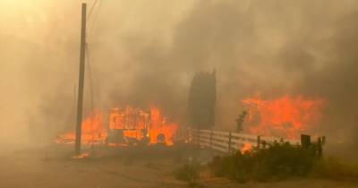 Лесной пожар уничтожил деревню в Канаде во время рекордной жары (видео)