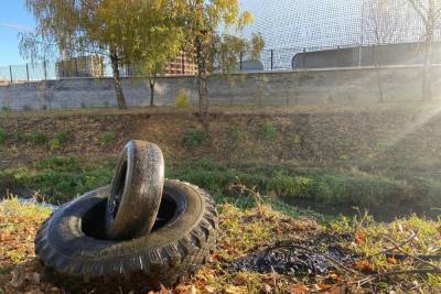 Тульскую область собираются очистить от отработанных шин