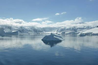 В Антарктиде зафиксировали рекордно высокую температуру