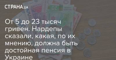 От 5 до 23 тысяч гривен. Нардепы сказали, какая, по их мнению, должна быть достойная пенсия в Украине