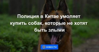 Полиция в Китае умоляет купить собак, которые не хотят быть злыми - news.mail.ru - Китай - провинция Ляонин
