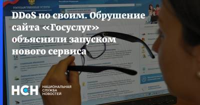 Арсений Щельцин - DDoS по своим. Обрушение сайта «Госуслуг» объяснили запуском нового сервиса - nsn.fm