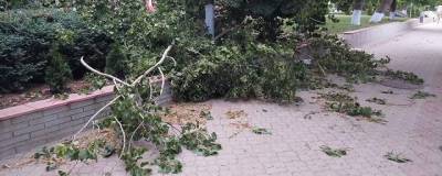 Сорванные крыши, поврежденные авто: в Башкирии устраняют последствия непогоды