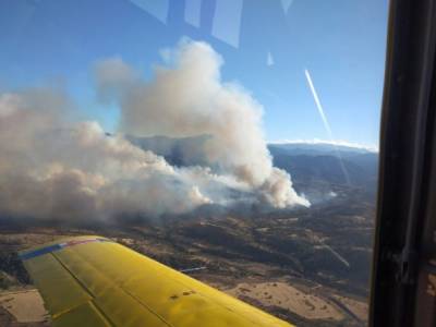 На Кипре вспыхнул масштабный лесной пожар
