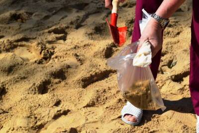 Роспотребнадзор проверяет качество воды и песка на пляжах Марий Эд