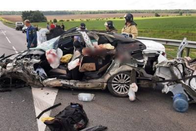 В Скопинском районе Рязанской области в ДТП с грузовиком погиб водитель Ford Mondeo