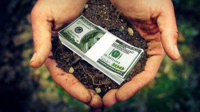 Стоит ли сейчас продавать свои гектары?: В Минагро дали прогноз по росту цены на землю в Украине