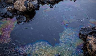 На Волге в Саратовской области обнаружили разив нефти