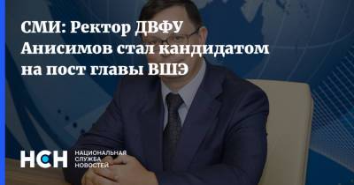 СМИ: Ректор ДВФУ Анисимов стал кандидатом на пост главы ВШЭ