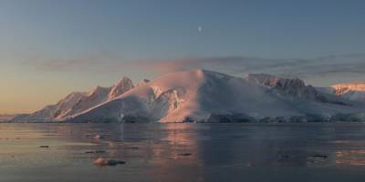 Ученые зафиксировали в Антарктиде рекордно высокую температуру