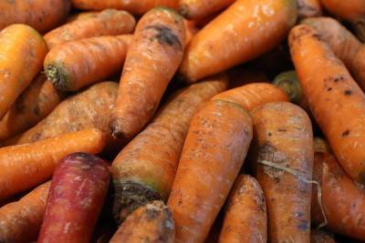 Почему в России продолжает расти цена на морковь и как она формируется