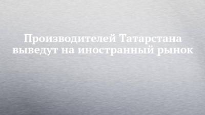 Производителей Татарстана выведут на иностранный рынок