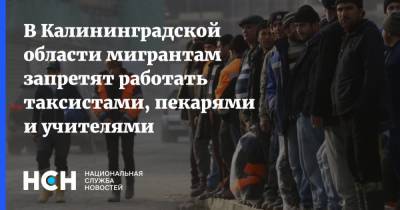 В Калининградской области мигрантам запретят работать таксистами, пекарями и учителями