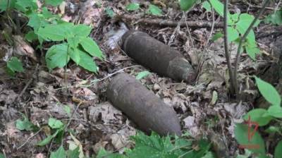 Росгвардейцы уничтожили снаряды, найденные пензенцем в кустах
