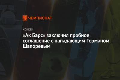 «Ак Барс» заключил пробное соглашение с нападающим Германом Шапоревым