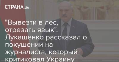 "Вывезти в лес, отрезать язык". Лукашенко рассказал о покушении на журналиста, который критиковал Украину