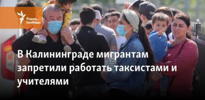 В Калининграде мигрантам запретили работать таксистами и учителями