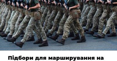В правительстве жестко раскритиковали “парад на каблуках”