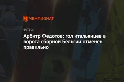 Арбитр Федотов: гол итальянцев в ворота сборной Бельгии отменён правильно