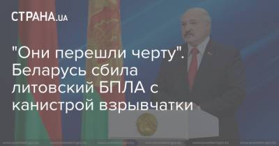 "Они перешли черту". Беларусь сбила литовский БПЛА с канистрой взрывчатки