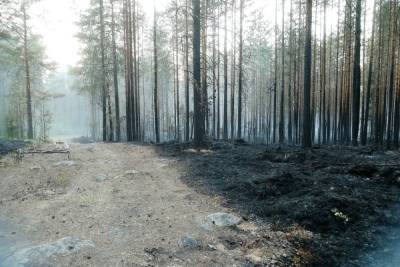 Жители посёлка Найстенъярви опубликовали обращения к властям из-за пожаров