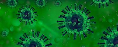 Инфекционист Малиновская пояснила, как заболеваемость ковидом влияет на иммунитет