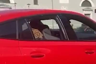 Леопарда выгуляли в автомобиле по центру Москвы