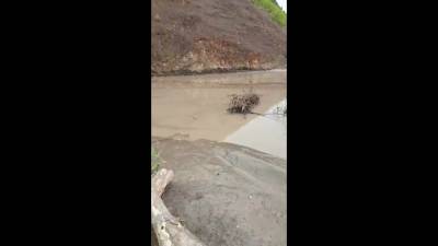Проверяющие не нашли в реке Оннай в Углегорском районе следов нефтепродуктов