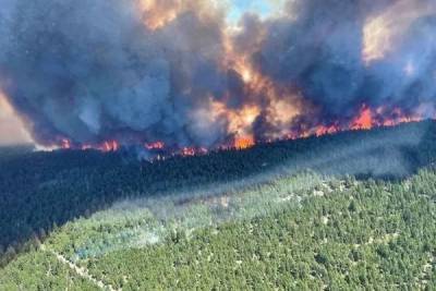 Столицу Канады накрыло дымом от лесных пожаров