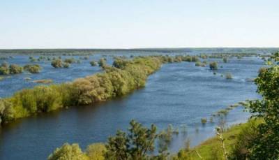 В Чернигове вода в Десне прогрелась до рекордных температур