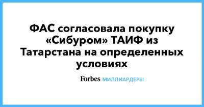 ФАС согласовала покупку «Сибуром» ТАИФ из Татарстана на определенных условиях