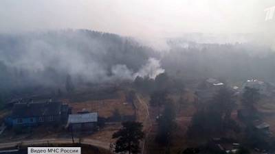 В Карелии резко увеличилась площадь природных пожаров