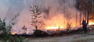 Число лесных пожаров в Карелии растет, площадь возгорания увеличилась до 5,8 тыс га