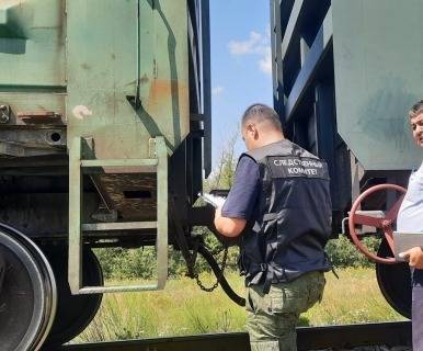 В Челябинской области грузовой поезд насмерть сбил 83-летнего мужчину