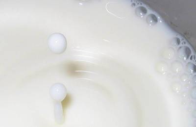 Доля промышленного молока в Украине увеличилась до 32%