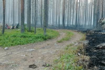 Рослесхоз поручил Карелии нарастить численность лесопожарных группировок
