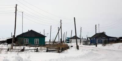 Путин предложил сотовым операторам обеспечить LTE-покрытие в селах
