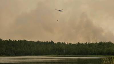 В Карелии площадь лесных пожаров разрослась до 5 тыс. га