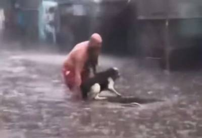 Спасение собаки во время потопа в Киеве попало на видео