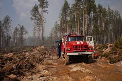 Минприроды Карелии весной уверяло, что обеспечит пожарную безопасность в лесах