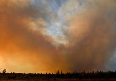 Жителей Рязанской области предупредили о сохранении высокой пожарной опасности