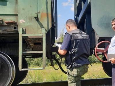 В Челябинской области грузовой поезд сбил 83-летнего пенсионера
