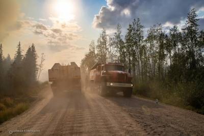 Площадь лесных пожаров в Карелии увеличилась до 5886 га