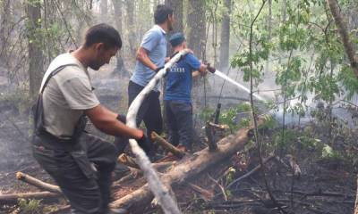 Пожарные пострадали при тушении лесных пожаров в Карелии